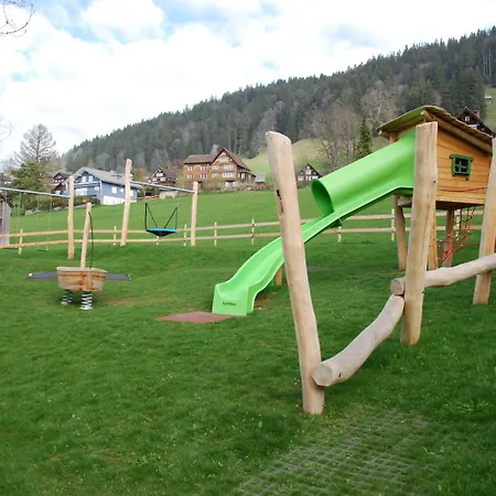 Hotel Hirschen - Village 3*