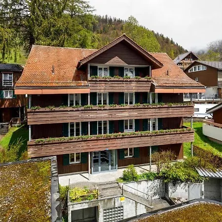 Hotel Hirschen - Village 3*