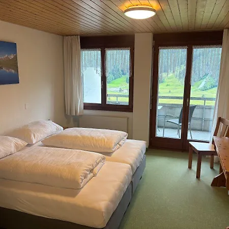 Hotel Hirschen - Village